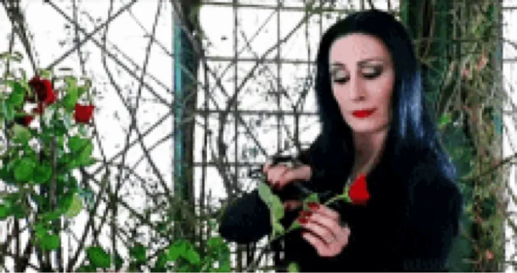 tish 🥀🥀