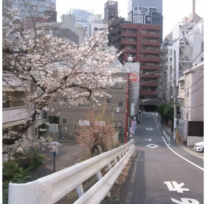 japan trip 