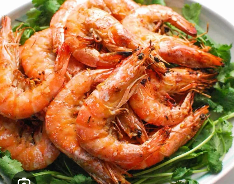 Shrimp🦐