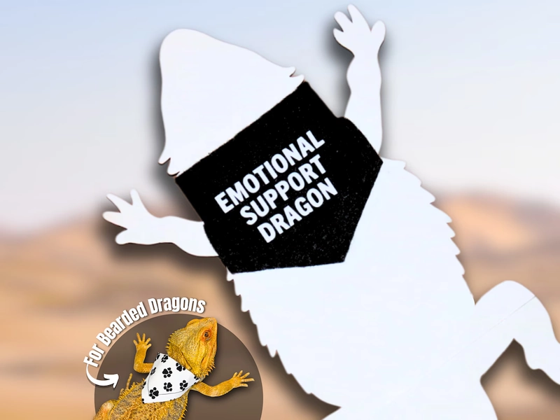 Emotional Support Dragon Bandana for Bearded Dragons Custom Handkerchief for ESA Reptile Accessories, Gift for Bearded Dragon Accessories - Etsy