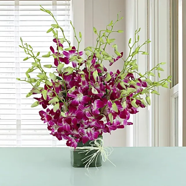 Buy/Send Exotic Expression 20 purple orchids in a glass vase with white Rassi knot Online- FNP