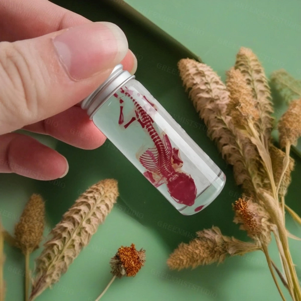 Transparent Skeleton Mouse Specimen