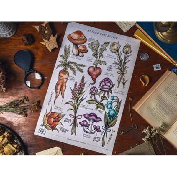 Hyrule Compendium Breath of the Wild Tears of the Kingdom Botanical Embossed Print