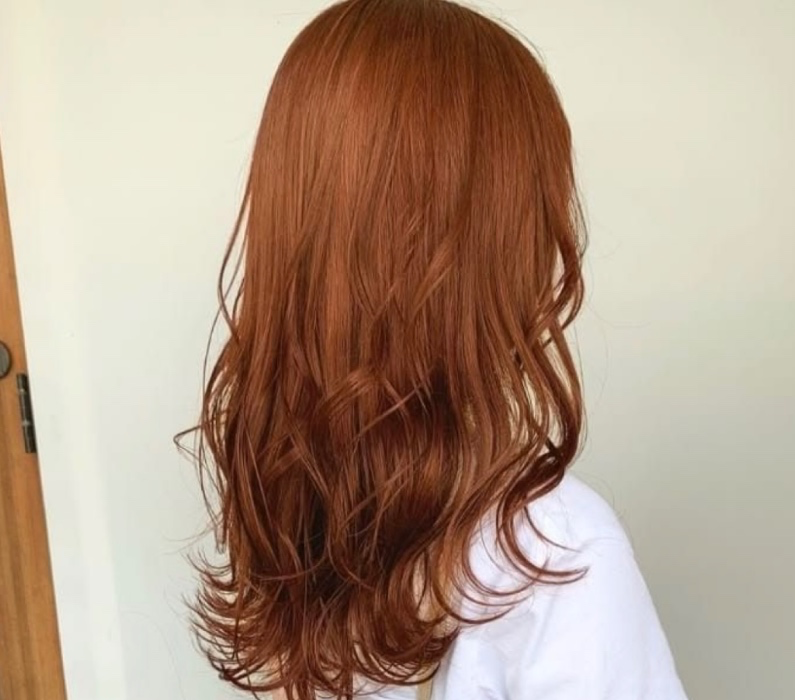 h a i r   a p p o i n t m e n t