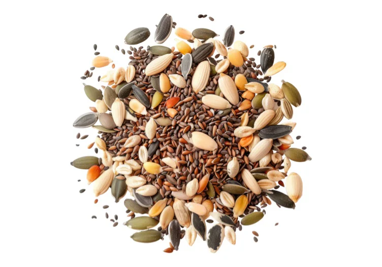 Bird Feed Fund