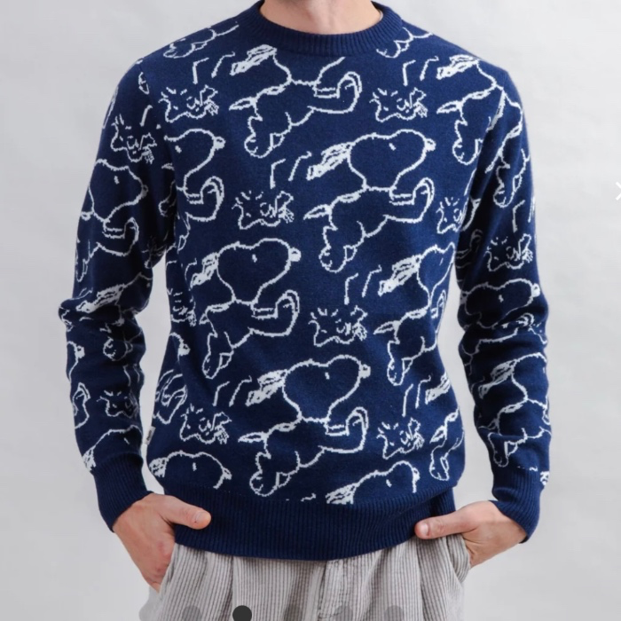 Brava Snoopy Jumper