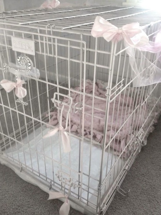 The Puppy Club! Gift