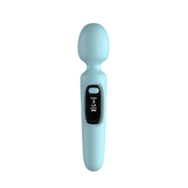 LED Power Wand Massager π