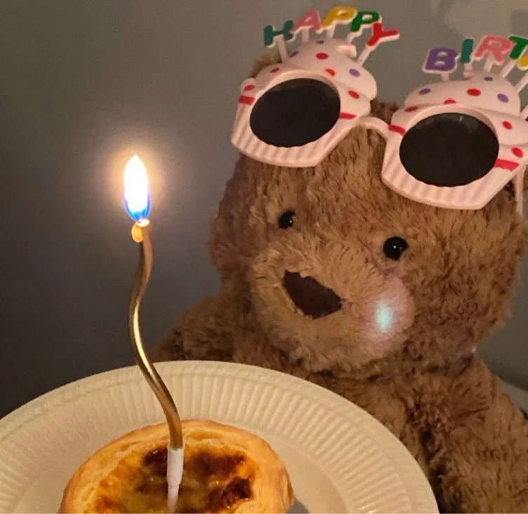 platinum plushie 🤍🩶