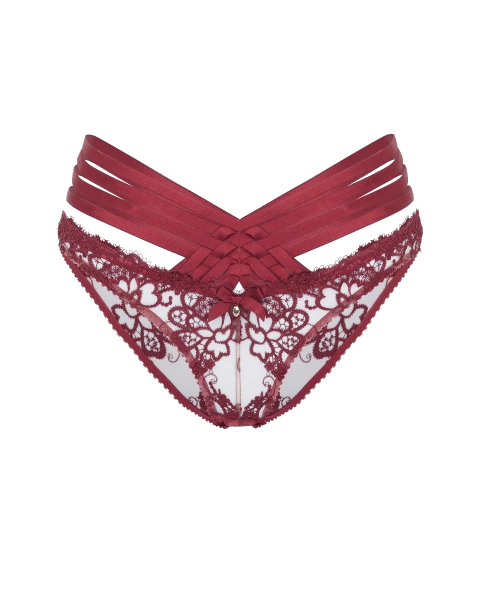 Dioni Full Brief in Burgundy | By Agent Provocateur