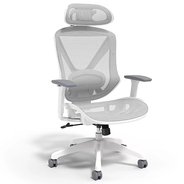 Staples Dexley Ergonomic Mesh Swivel Task Chair, Gray (UN61365)