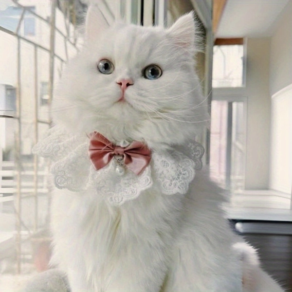 1 Cute Bow Bow Pet Scarf Cat Bow Tie Pet Collar Saliva Towel Knitted Bow Tie Decoration Very Cute and Very Beautiful Suitable for Cats and Dogs of 4. 41-8. 82LB