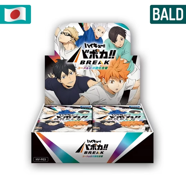 Haikyuu!! "Youth & Selection Training Camp" HV-P03: Display JP