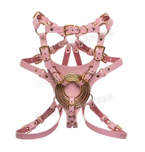 Bad Dragon Strap-on Harness, Big Dildo Harness, Pegging Harness BDSM, Panties for Strap On, Mature - Etsy.de