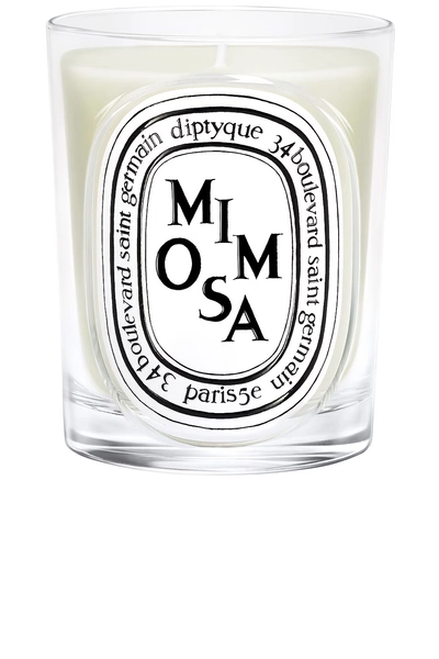 Diptyque Mimosa Classic Candle in White