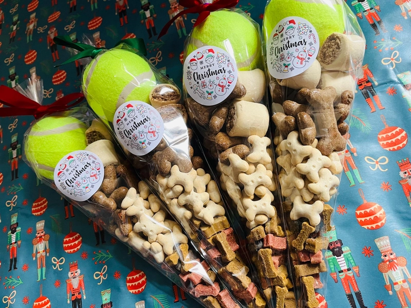Dog Treat Cone Christmas