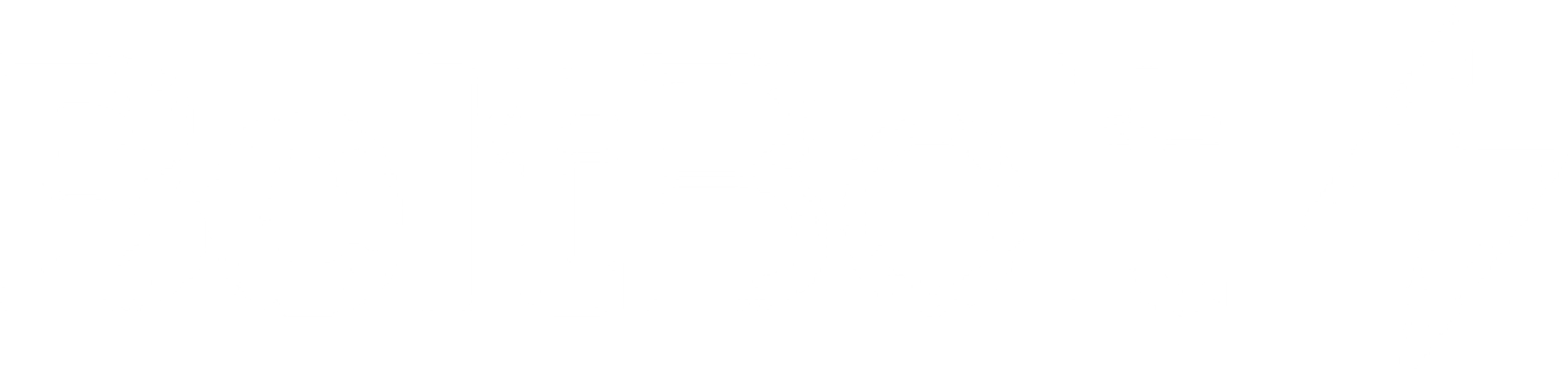 BeltBolt