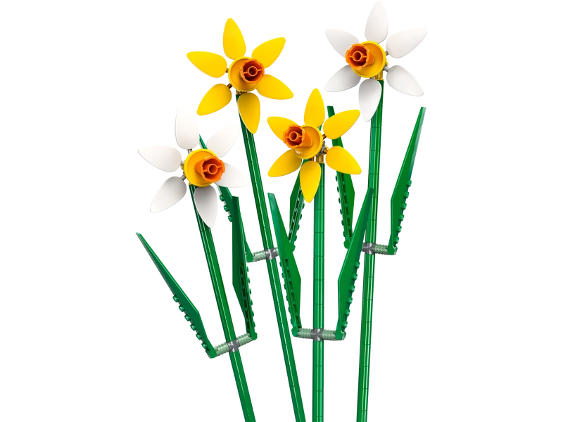 Daffodils