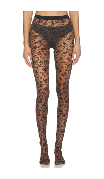 Wolford Rose Tights in Brown,Black. - size M