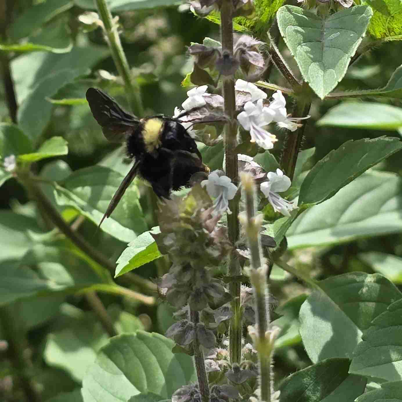 ⛧ Clothes & Gear Spree ⛧