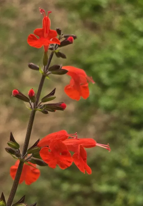 ✨ Self Care Items✨