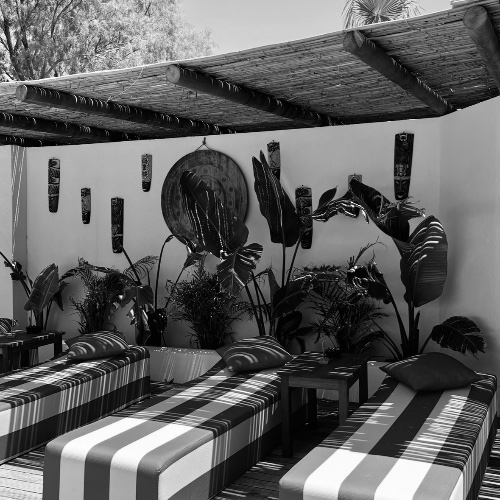 Beach Club Day Pass 🌊