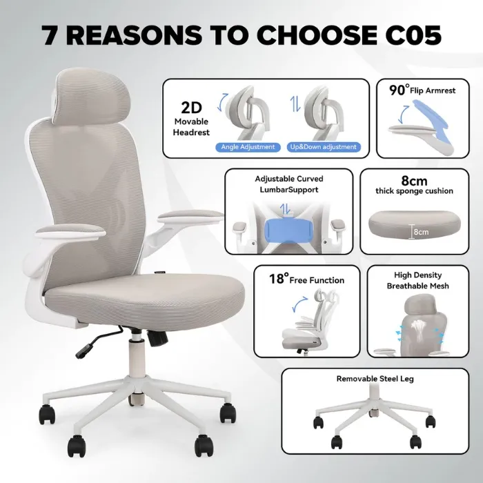 MUSSO C05 Ergonomic Chair 2D Headrest and Flip Armrest Ergonomic Office Chair