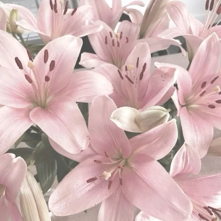 flowers (44)