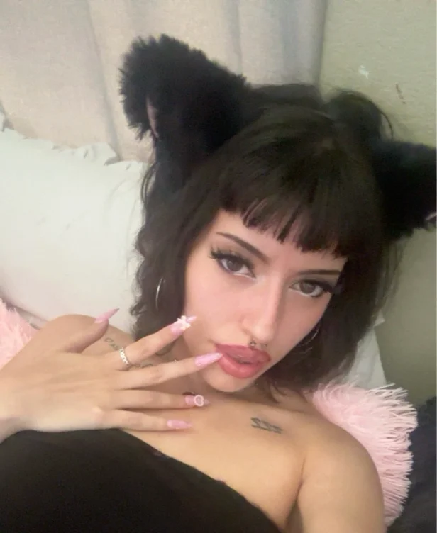 bank of kittie