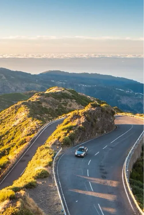 Road Trip