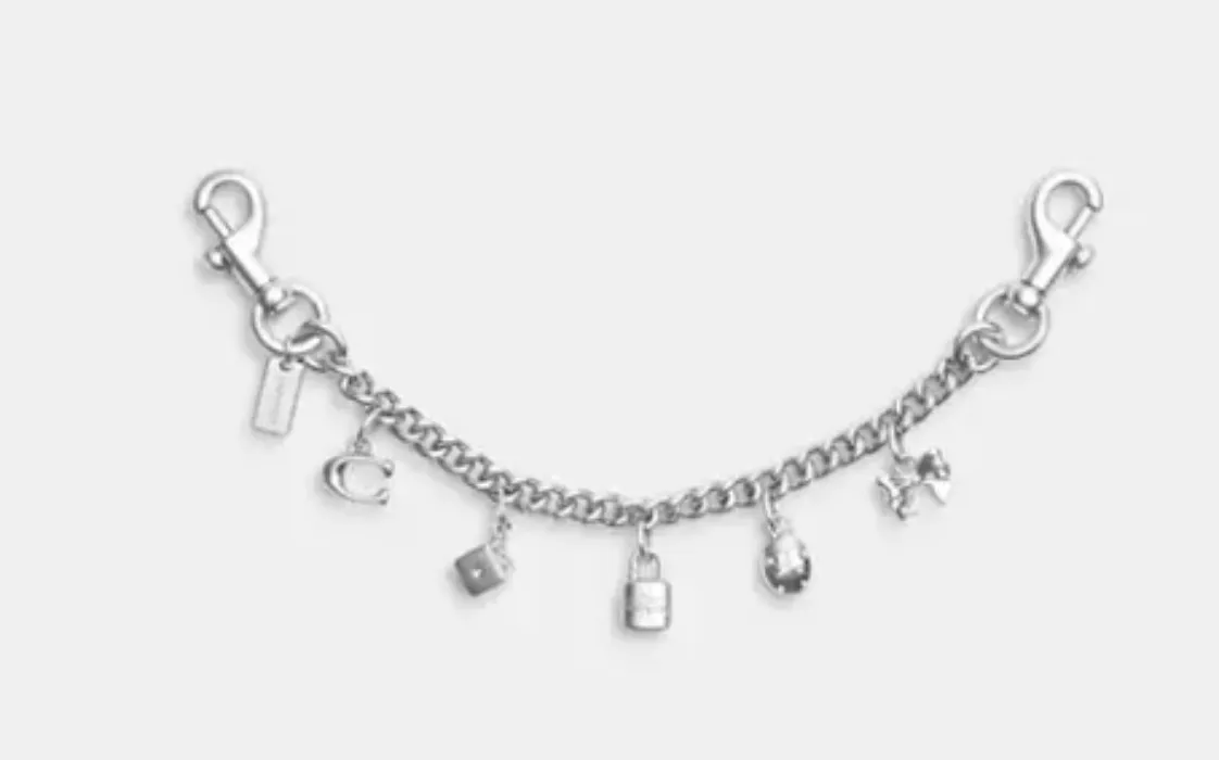 Silver Swagger Chain With Charms