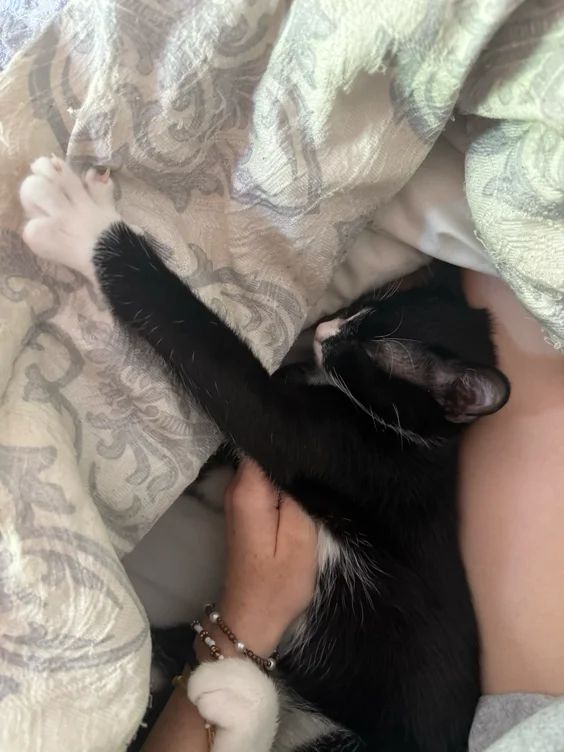 socks