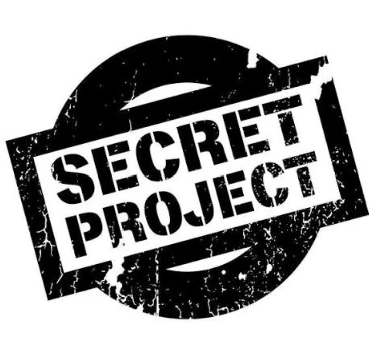 My 2nd Secret Project 
