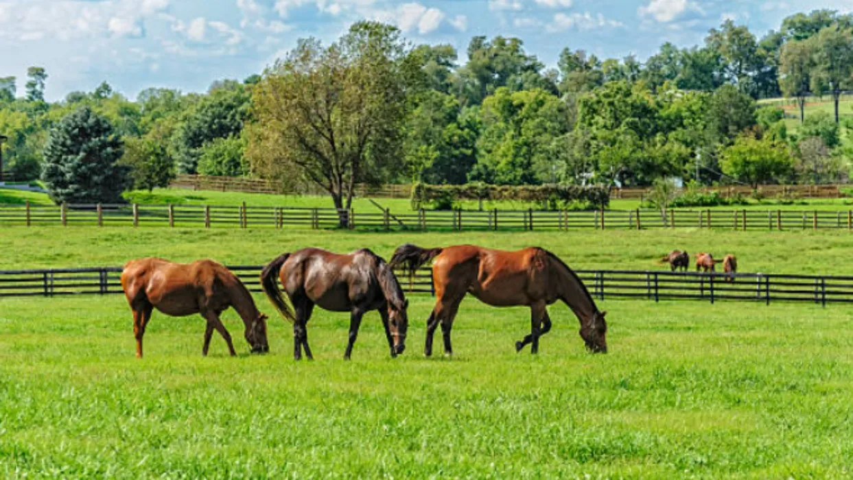 Towards purchasing land to build my dream home (Part One)