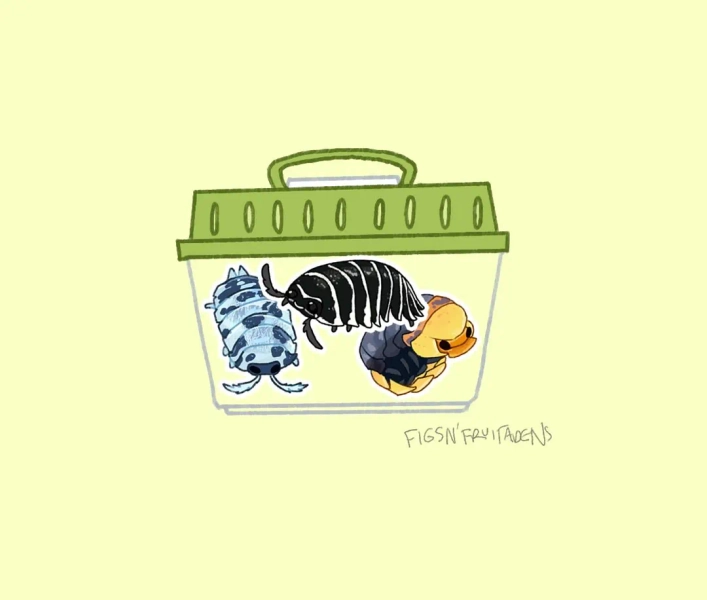 Isopod Collection | Sticker Set | Lil .5 Inch Isopods - Etsy