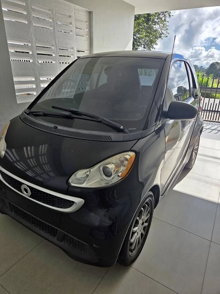 Smart Car Passion 2013