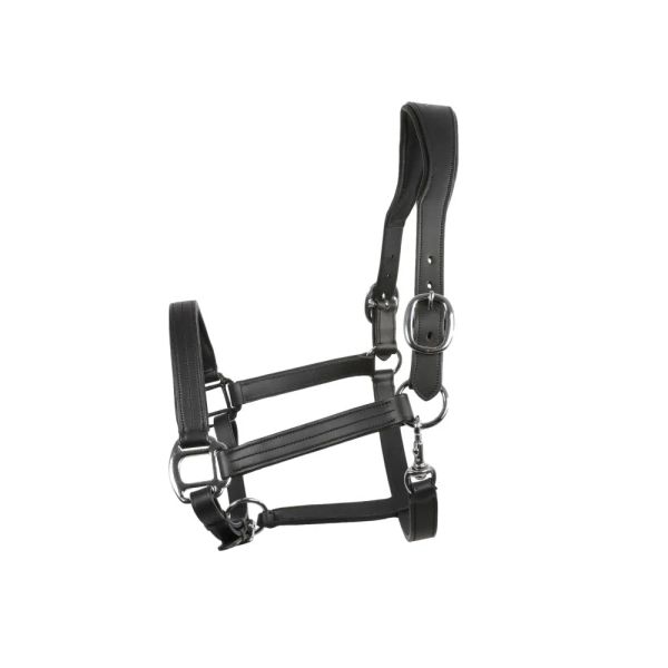 Licol cuir Signature by Antares anatomique