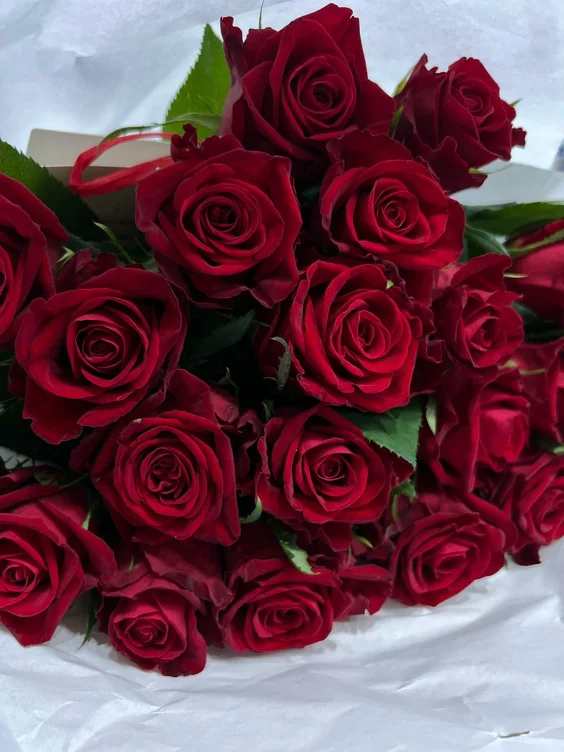 Flowers 🌹