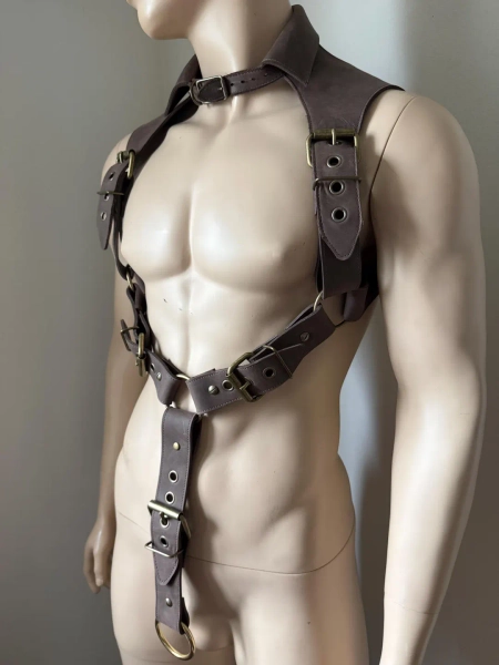 Collared Gentlemen's Brown Leather Harness With or Without Jock - Etsy