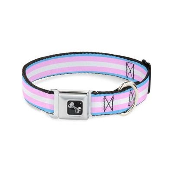 Buckle-Down Flag Transgender Dog Collar, Medium: 16 to 23-in neck, 1.5-in wide