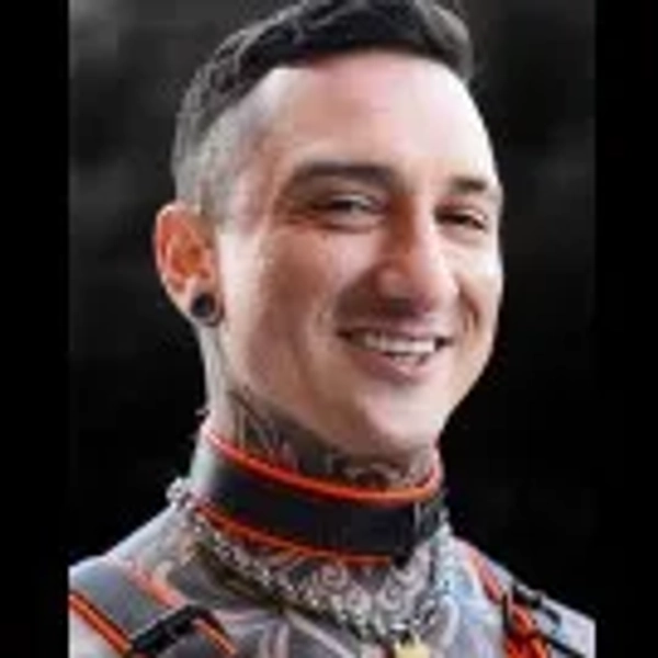 Hardline Collar - 11 Colors