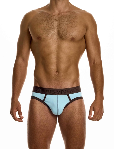 UNDERWEAR :: Dynamic Classic Briefs - MODUS VIVENDI - Underwear, Swimwear & Athleisure