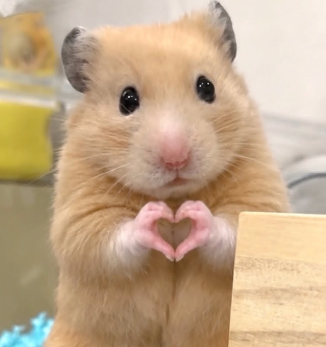 💕 Make My Day 💗