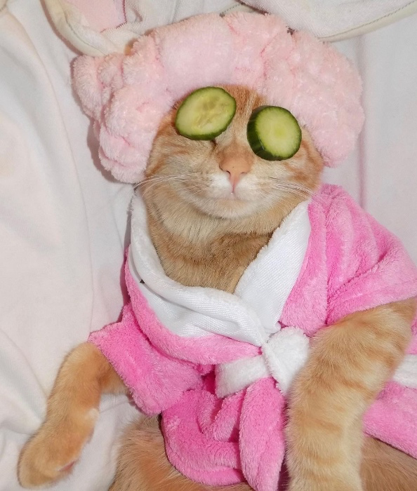 Spa Day