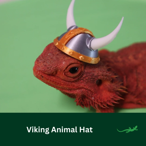 Viking Hat for Small Pet, Critter Accessory, Funny Gift for Reptile Lover, Amphibian, Bearded Dragon, Frog, Gecko, Hamster, Guinea Pig, Rat - Etsy