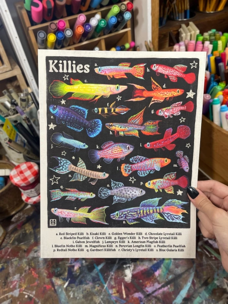 Killifish Poster | Aquarium Fish Species Identification | 8.5x11 Wall Art Print - Etsy Canada