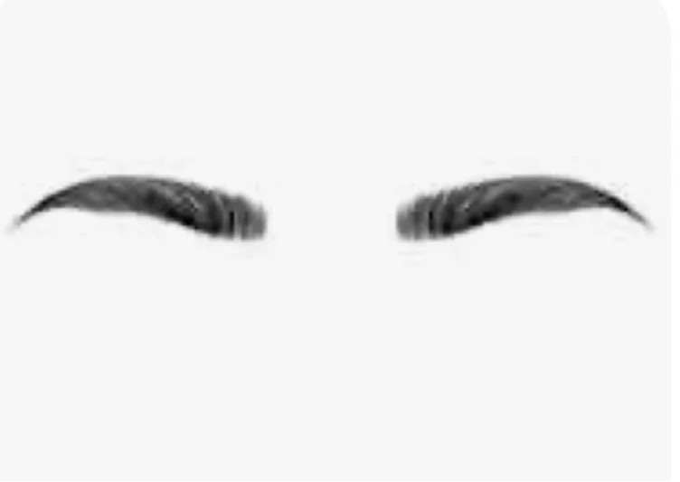 Monthly Eyebrow Appt 