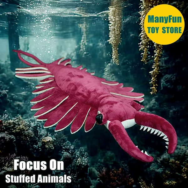 anomalocaris named antoni the first