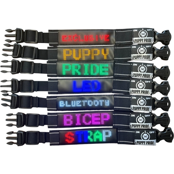 Bluetooth LED Armband-White