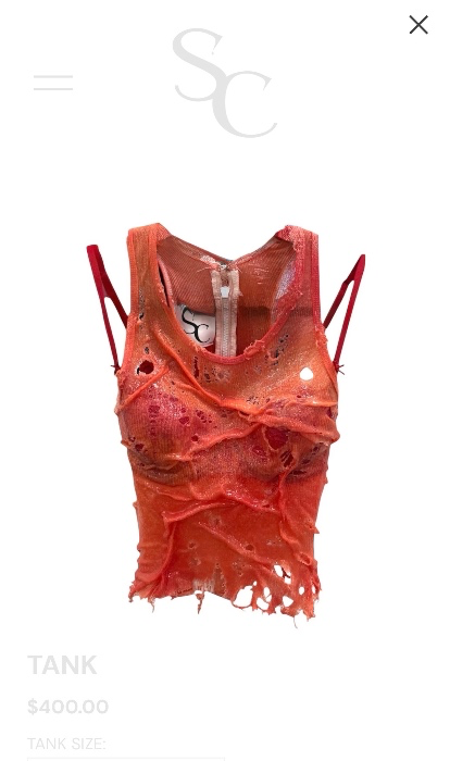 Torn and tattered top